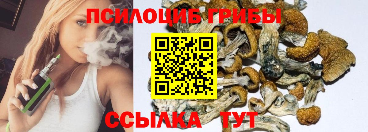 Псилоцибиновые грибы MAGIC MUSHROOMS  Вход с VPN  Новороссийск 