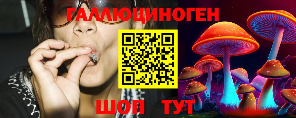 Галлюциногенные грибы мицелий Новороссийск